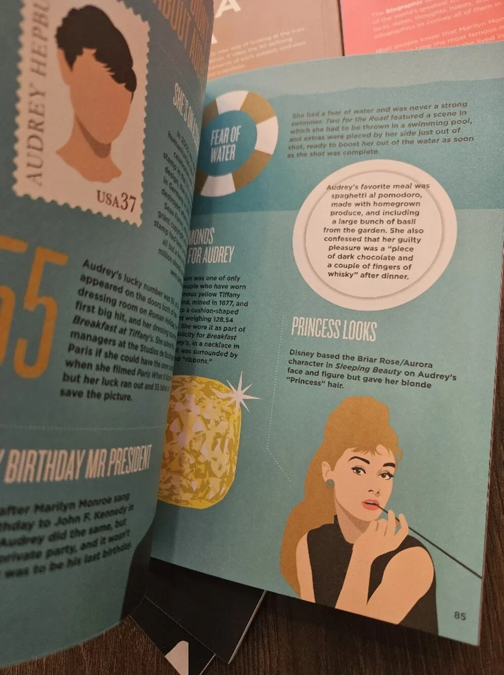 Biographic Icons 6 Book Box Set Coco Chanel Dior Audrey Marilyn Tesla Einstein